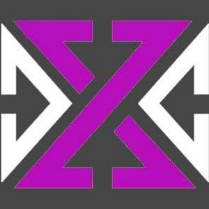 Zynosure Consulting logo