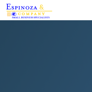Espinoza &amp; Company CPA and IT Consulting logo