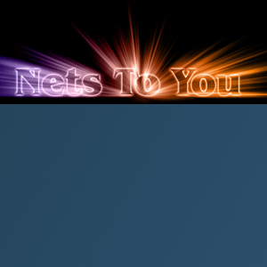 Nets To You logo