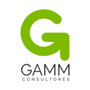 GAMM Consultores logo