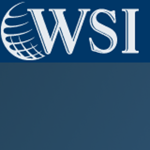 WSI Web Enhancers logo