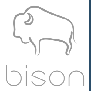 Bison Agency logo