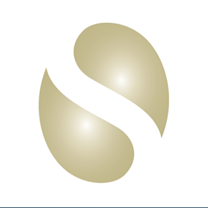 Diane Stelken logo