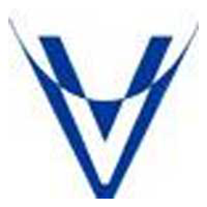 Valed Video logo