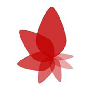 Mankind MK Consultores S.A. logo