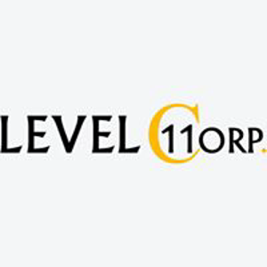 LEVEL 11 CORP logo