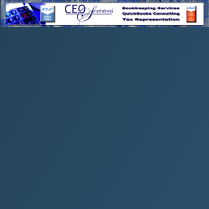 CEO Services USA logo