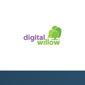 Digital Willow Ltd logo