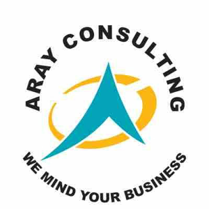 Aray Consulting logo