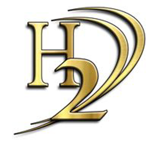 H2 Business Consulting Firm logo