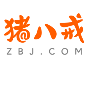 ZBJ Network logo