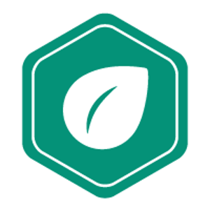 Poli Design Studio logo
