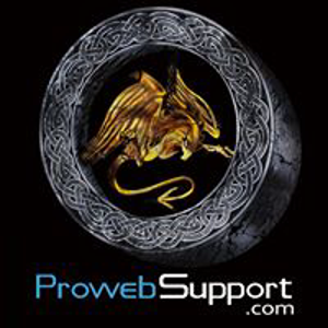 Prowebsupport logo