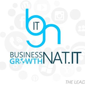 Business Growth Natit logo