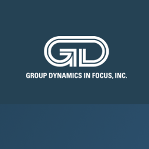 Group Dynamics In Focus logo