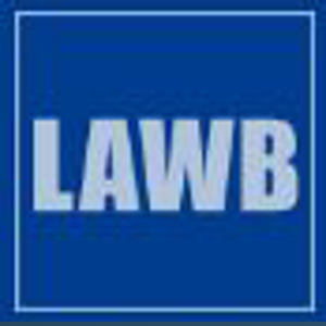 La web del Born logo