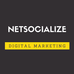 Netsocialize logo