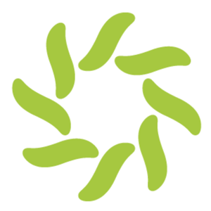 Lingoport logo