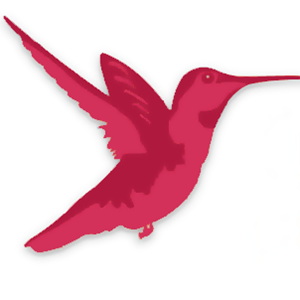 EDMOND Project &amp; Consulting logo