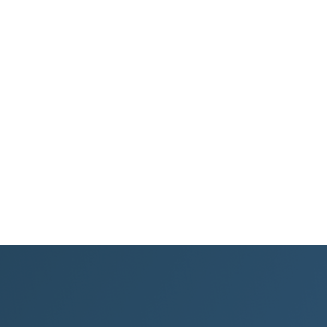 Netstudio logo