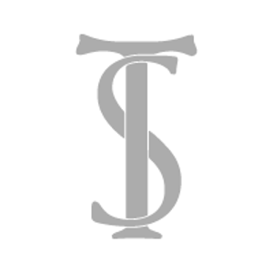 TS Incorporated Digital Marketing logo