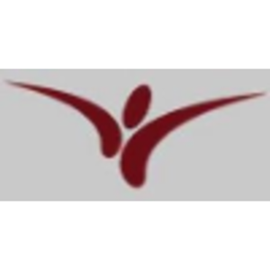Vision Financial Group CPAS logo