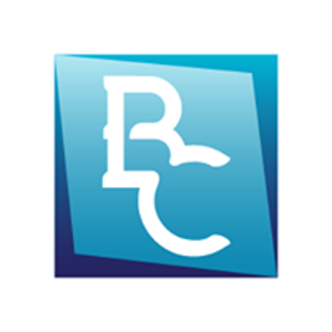 Blue Chip Accounting, LLC logo