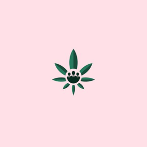 Cannabis Staffing Group logo