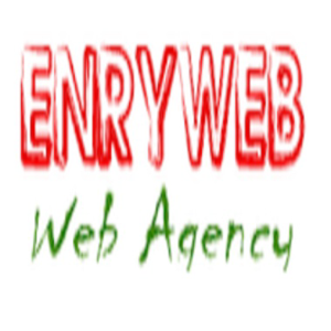 Enryweb Web Agency logo