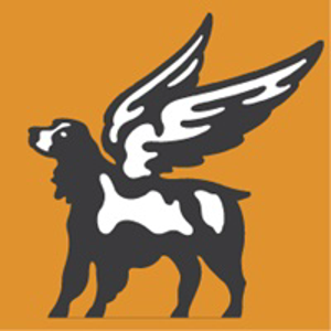 Ambrosini Design logo