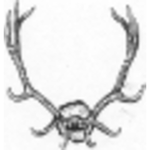 Greater Montana Land Company logo