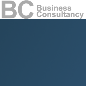 Business Consultancy logo