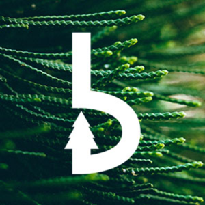 Boscus Digital Marketing logo