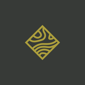 Luminant Digital Security logo