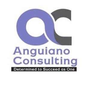 Anguiano Consulting Inc logo