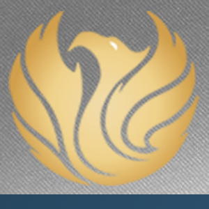 Phoenix Financial Group Ltd logo