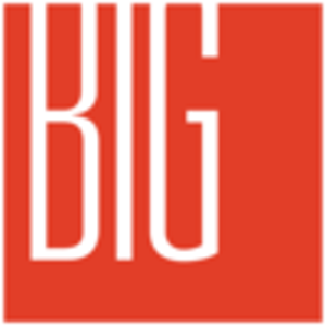 Brand Innovation Group (BIG) logo