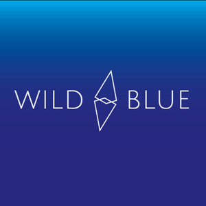 Wild Blue Digital logo