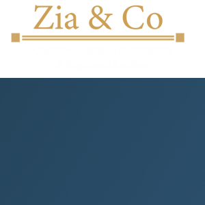 Zia &amp; Co logo