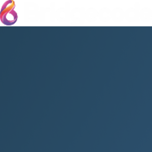 Bridgecode logo