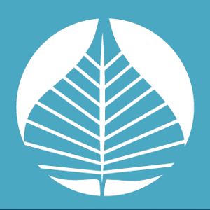 Bodhi Web logo