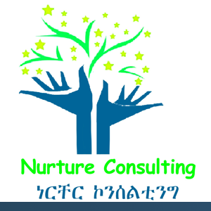 Nurture Business and Investment Consulting logo