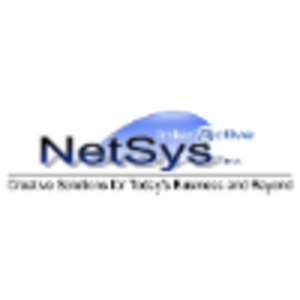 NetSys Interactive Inc logo