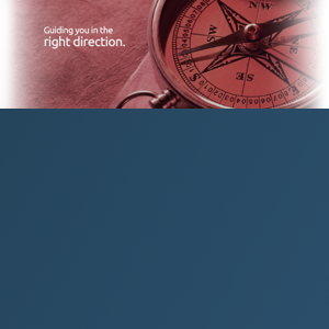 Anna Liang, CPA logo