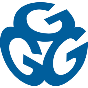 Gold Gerstein Group LLC logo