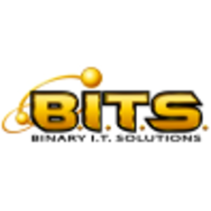 Binary I.T. Solutions, Inc. logo