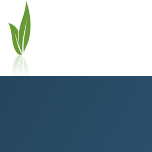 Evince Naturals logo