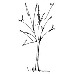 HjS Architecture logo
