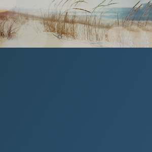 Carlos E Soler, CPA logo