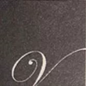 Larry Vershel Communications logo